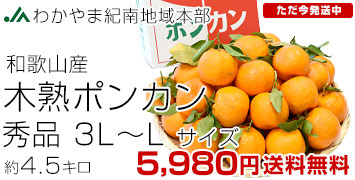 JA�I��؏n�|���J��4.5kg