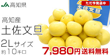 �y�����U10kg