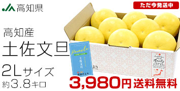 �y�����U3.8kg