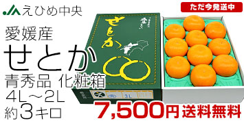 ���Ђߒ��� ���Ƃ� �G�i