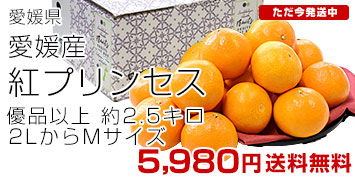 �g�v�����Z�X2.5kg