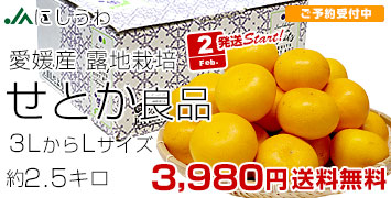 �ɂ����킹�Ƃ� �I�n�Ǖi2.5�L��