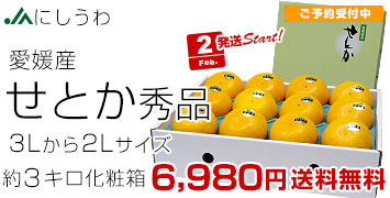 �ɂ����킹�Ƃ��I�n�G�i3�L��