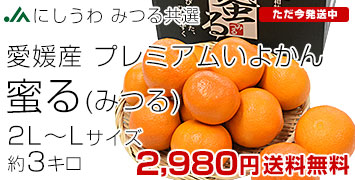 ���悩�� ����