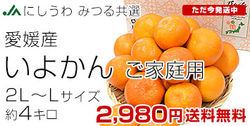 ���悩�� ���ƒ�p