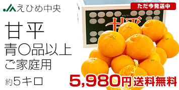 �Õ��@5�L��