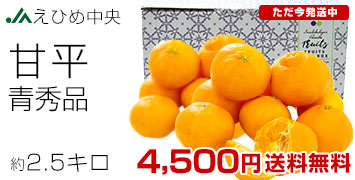 �Õ��@2.5�L��