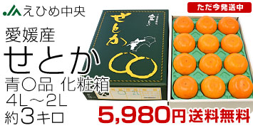 ���Ђߒ��� ���Ƃ� �Z�i