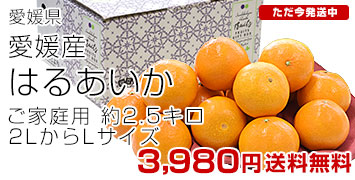 �͂邠����2.5kg