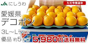 �ɂ�����f�R�|�� 5�L�� �D�i