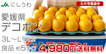 �ɂ�����f�R�|�� 5�L�� �Ǖi