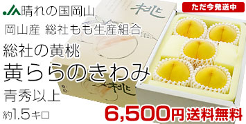 �����̂����1.5�L��