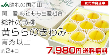 �����̂����2�L��