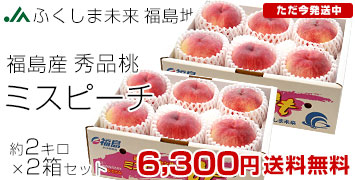 2箱セット