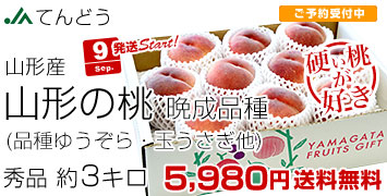 晩成品種3kg