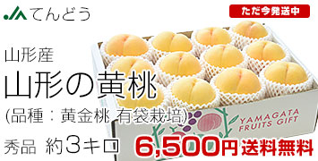 �Ă�ǂ������� �L��3kg