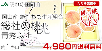 ��������ׂ鑍�Ђ̓�1�L��