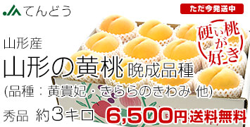 �Ă�ǂ������Ӑ��i��3kg