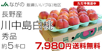 �эj�̔�����