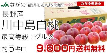 �эj�̓��@�O����