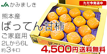 ばってん甘柿ご家庭用3キロ