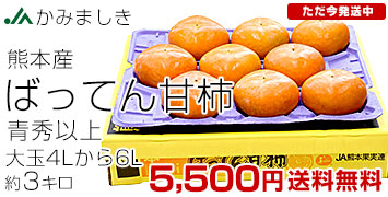 ばってん甘柿青秀品3キロ