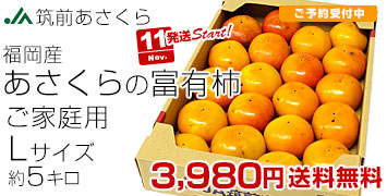 あさくら富有柿ご家庭用5キロ