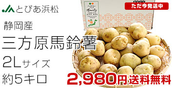 On鏒 2L 5L