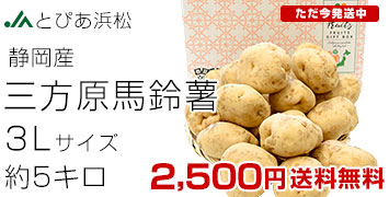 On鏒3LTCY 5L
