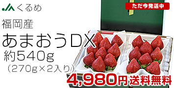 ���܂���DX