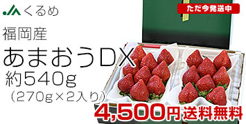 ܂DX540g