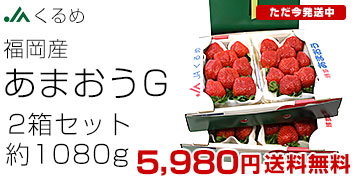 ܂G270g~4