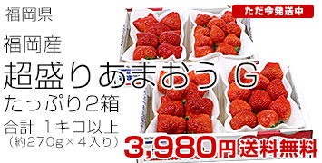 �X�|�b�g���܂���G2��