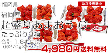 ���܂���G3��