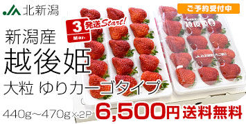 �z��P2�p�b�N