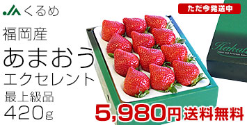 ���܂���EX