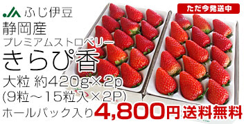 ����ҍ��嗱420g�~2p