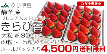 JAӂɓҍ嗱900g