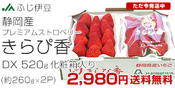 JAӂɓҍDX560g