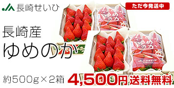 ��߂̂�500g�~2��