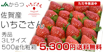 500gϔ