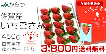 DX450g
