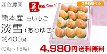 ���J�_���W�ቻ�ϔ�400g