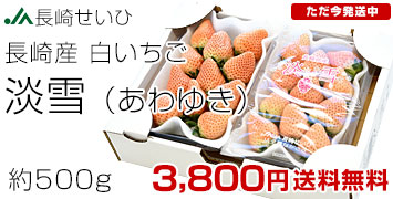 �W��1��500g