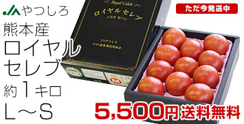 ���C�����Z���u 1�L��