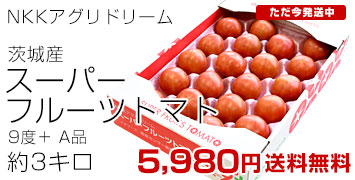 NKK�g�}�gA�i3�L��