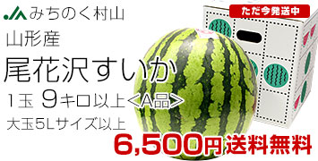 尾花沢スイカA品