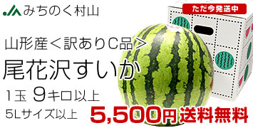 尾花沢スイカ訳ありC品