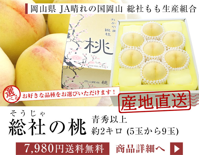 Iׂ鑍Ђ̓2kg