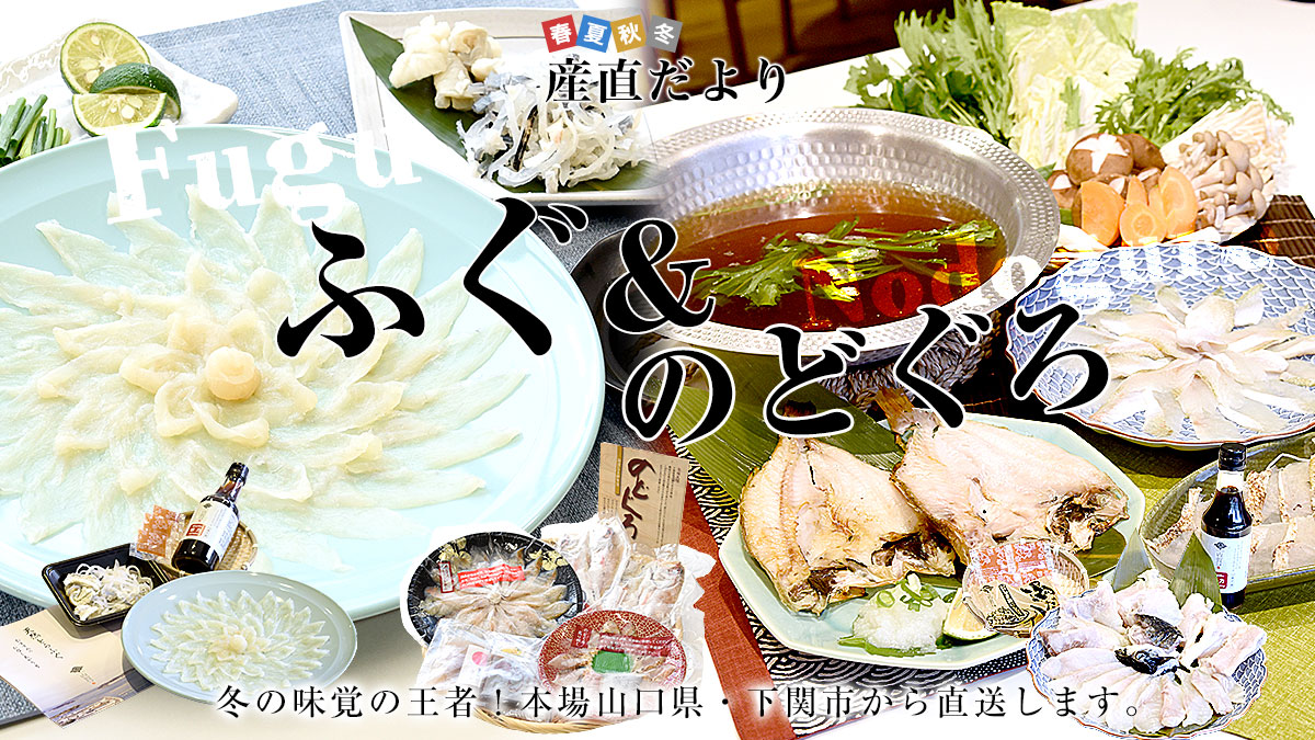 �V�R�g���t�O���̂ǂ���I